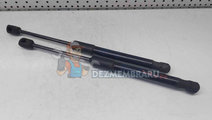 Set amortizor capota Audi A6 (4G5, C7) [Fabr 2011-...