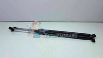 Set amortizor capota SUBARU Outback IV (BM, BR) [F...