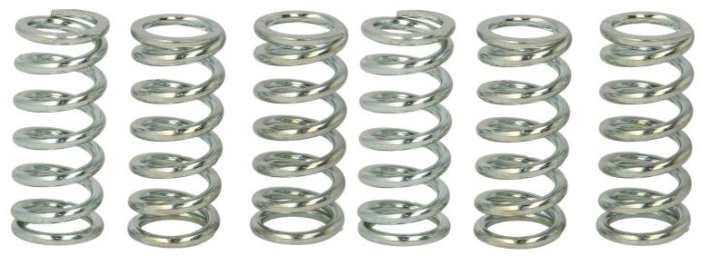 Set Arcuri Ambreiaj Moto Trw MEF115-6