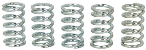 Set Arcuri Ambreiaj Moto Trw MEF123-5