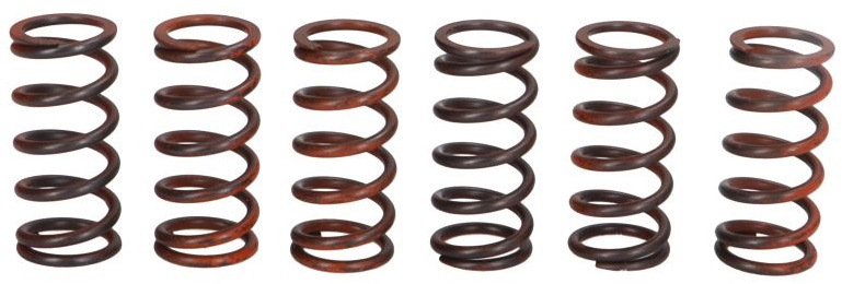 Set Arcuri Ambreiaj Moto Trw MEF300-6