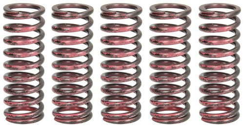 Set Arcuri Ambreiaj Moto Trw MEF315-5