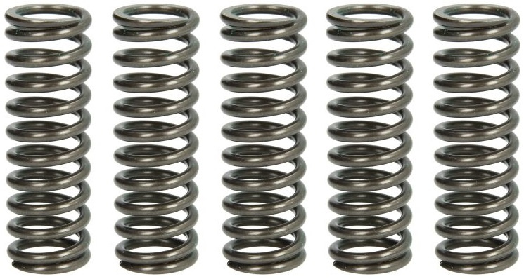 Set Arcuri Ambreiaj Moto Trw MEF319-5