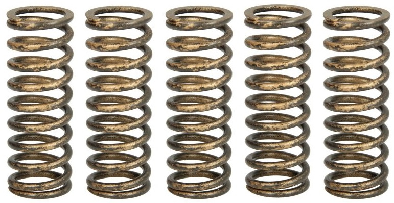 Set Arcuri Ambreiaj Moto Trw MEF344-5