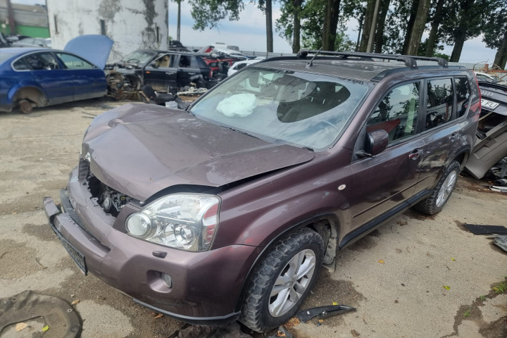Set arcuri spate Nissan X-Trail 2007 SUV 2.5 QR25DE