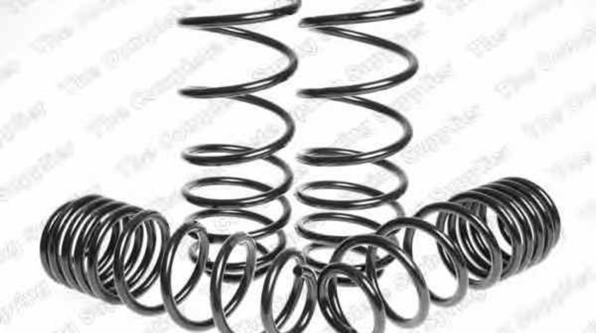 Set arcuri sport VW BORA 1J2 LESJÖFORS 4595045