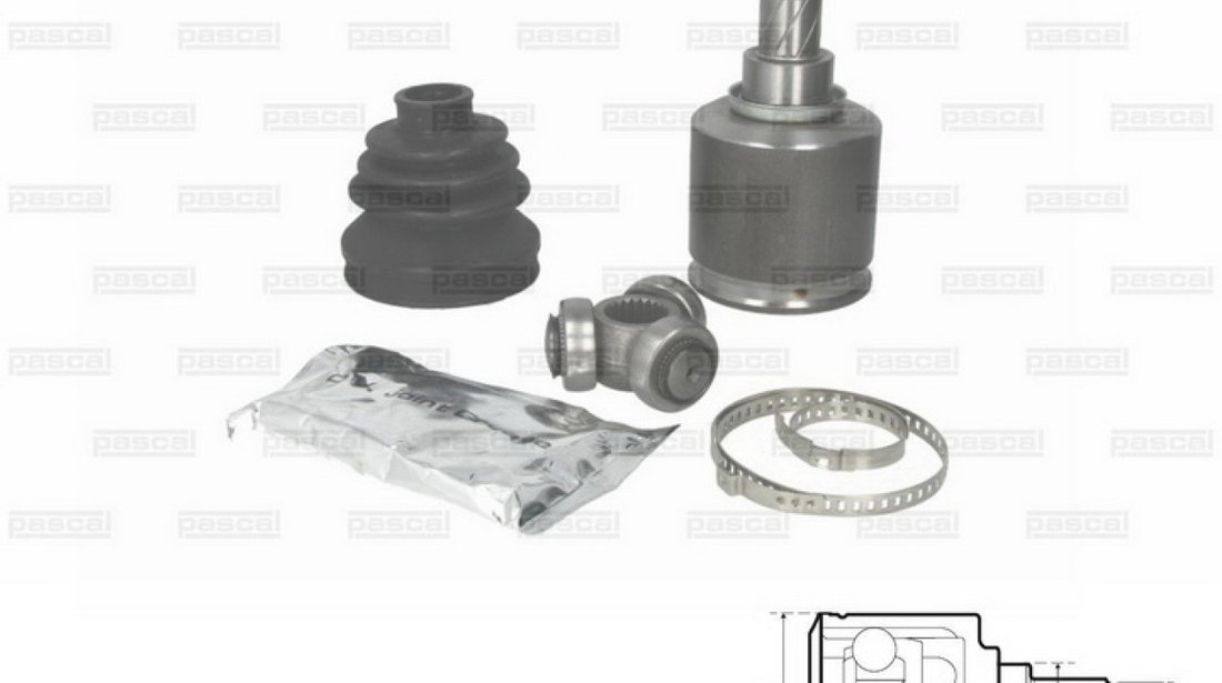 Set articulatie planetara NISSAN PRIMERA P12 Producator PASCAL G81007PC