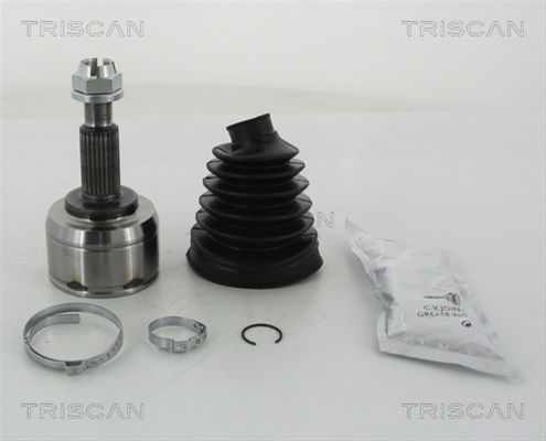 Set Articulatie, Planetara Triscan Renault 8540 25136