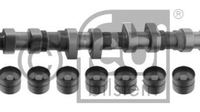 Set ax cu came AUDI A4 (8D2, B5) (1994 - 2001) FEBI BILSTEIN 33199 piesa NOUA