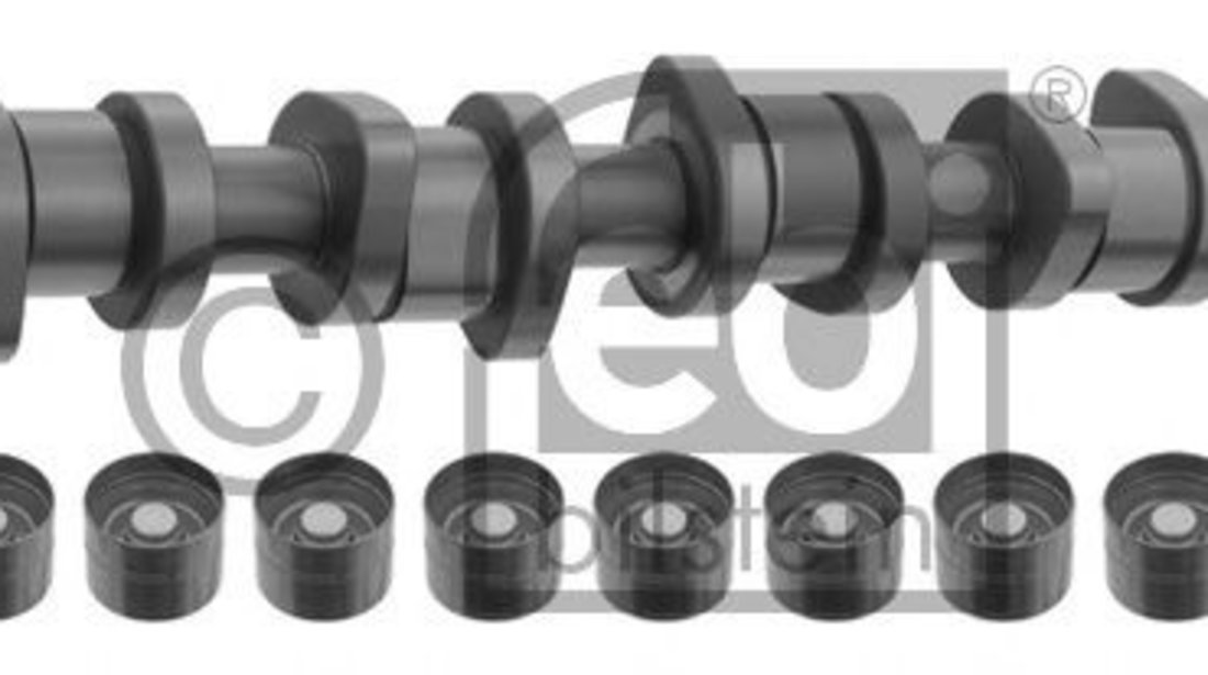 Set ax cu came AUDI A4 (8E2, B6) (2000 - 2004) FEBI BILSTEIN 33197 piesa NOUA