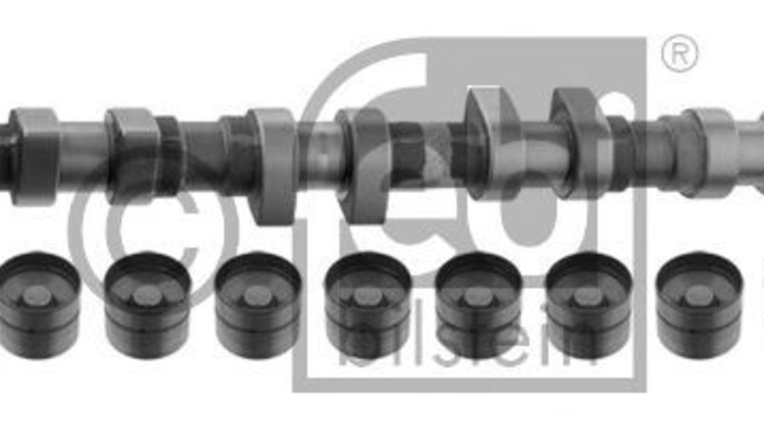 Set ax cu came AUDI A6 Avant (4B5, C5) (1997 - 2005) FEBI BILSTEIN 33199 piesa NOUA