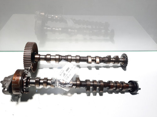 Set axe came, Audi A6 (C6), 2.0 benz, ALT, 96 kw, 130 cp