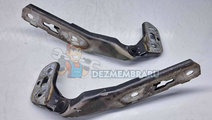 Set balamale capota Audi A6 Avant Allroad (4F5, C6...