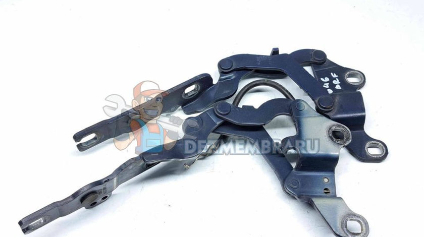 Set balamale capota Bmw 1 (E81, E87) [Fabr 2004-2010] 7060560 7060559