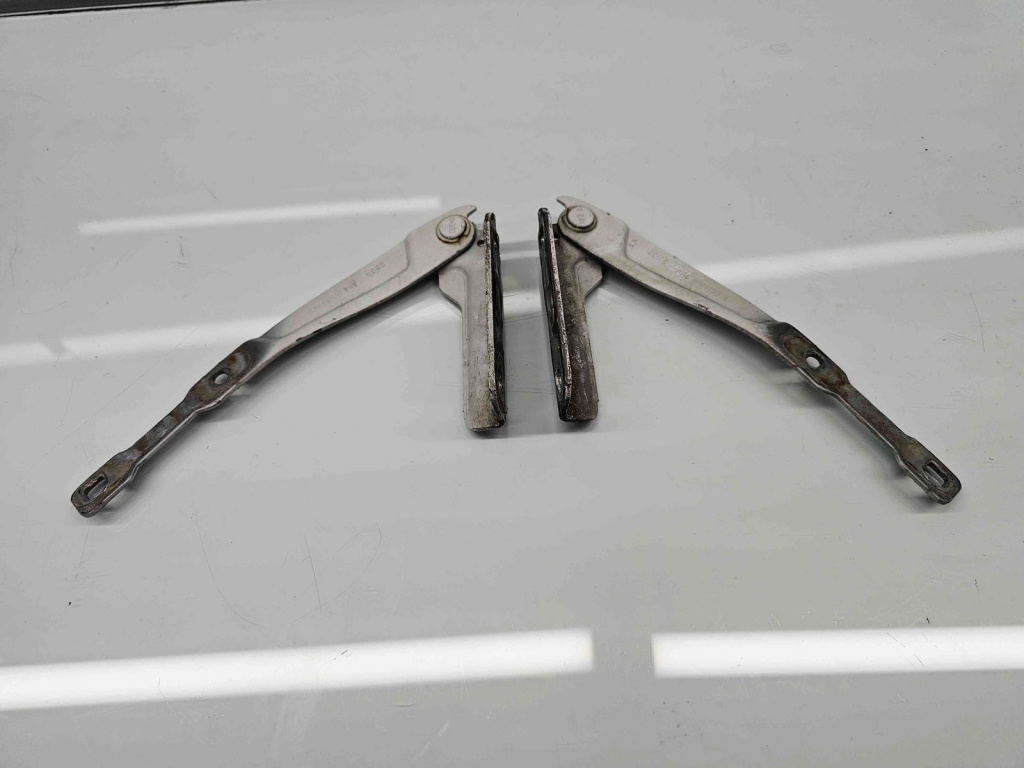 Set balamale capota Dacia Sandero 2 [Fabr 2012-prezent]