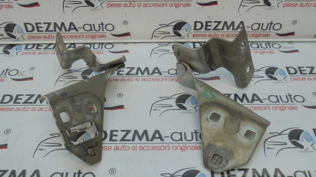 Set balamale capota fata, 011074E, Renault Megane 2 combi