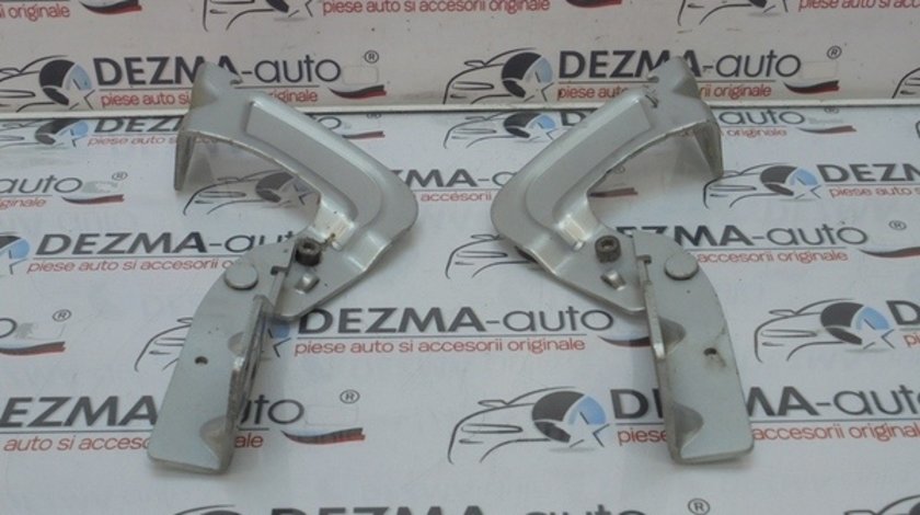 Set balamale capota fata 1530711204D, Renault Kangoo (id:259220)