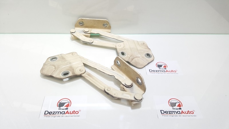 Set balamale capota fata, 1T0823302E, Vw Touran (1T1, 1T2) (id:208205)