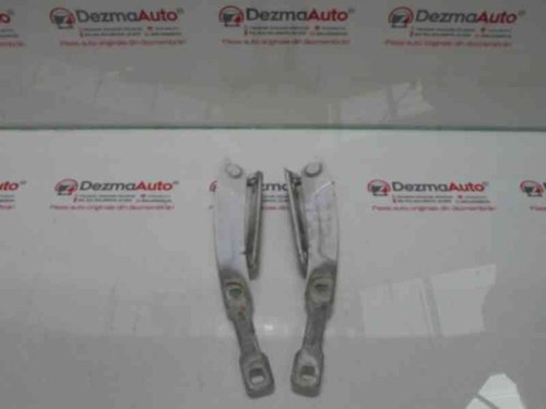 Set balamale capota fata, 2R00002, Dacia Logan (LS)