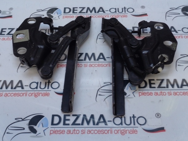 Set balamale capota fata 3C0823302D, Vw (id:199237)