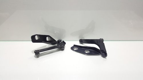 Set balamale capota fata, 3M51-16801-AG, Ford Focus C-Max (id:201997)