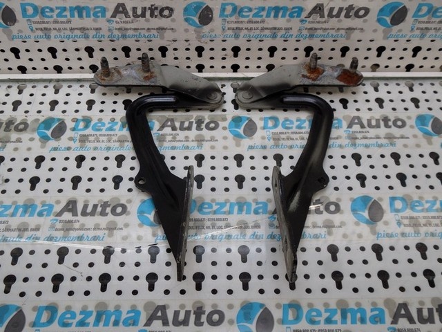 Set balamale capota fata 4M51-16801-AA, Ford Focus 2 (id:180224)