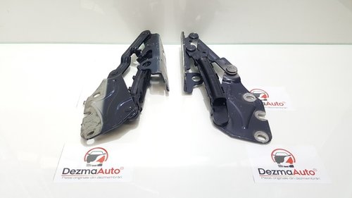 Set balamale capota fata, 5M0823302, Vw Golf 6 Plus (id:208090)