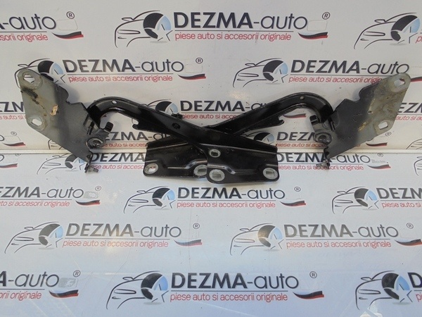 Set balamale capota fata, 654000003R, Renault Megane 3 hatchback (id:248660)