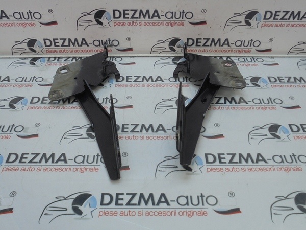 Set balamale capota fata, 654000003R, Renault Megane 3 hatchback (id:272853)