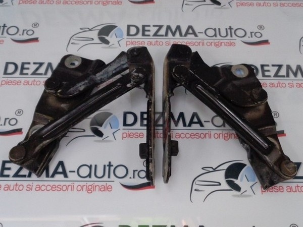 Set balamale capota fata 6Y0823302A, Skoda Fabia 1 (6Y2) 1999-2008 (id:209683)
