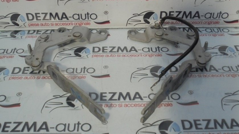 Set balamale capota fata 7115263, Bmw 3 coupe (E92)