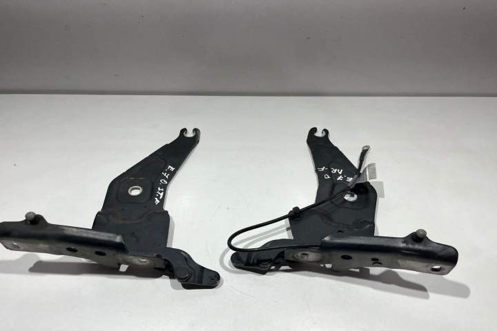 Set balamale capota fata 7208627 BMW X5 E70 [2006 - 2010]