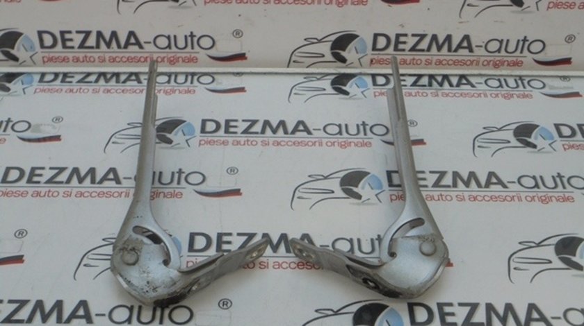 Set balamale capota fata, 8P0823302, Audi A3 Sportback (8PA)