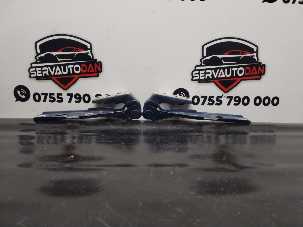 Set balamale capota fata Audi A4 (2004-2008) [8EC, B7] 2.0 Motorina 2007, STANGA+DREAPTA / 8E0823301E / 8E0823302E