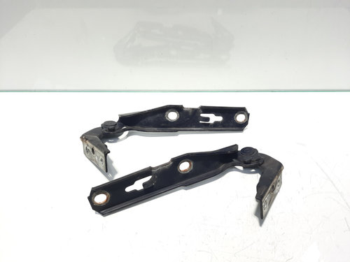 Set balamale capota fata, Audi A4 (8EC, B7)