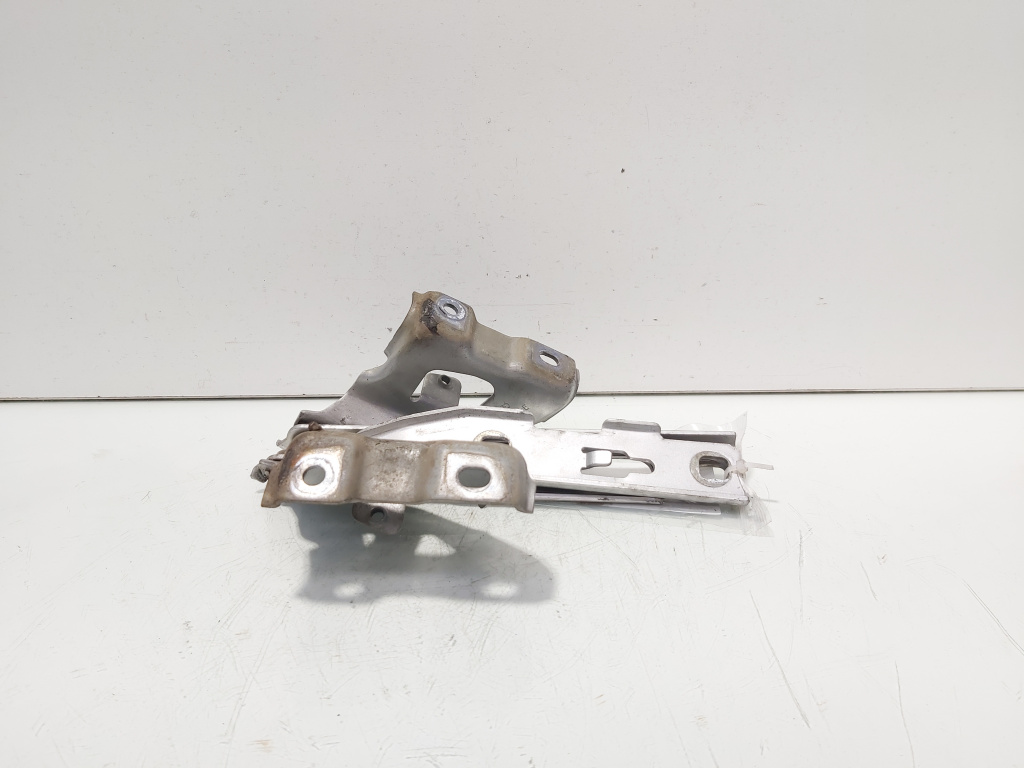 Set balamale capota fata, Audi A5 Sportback (8TA) (id:706158)