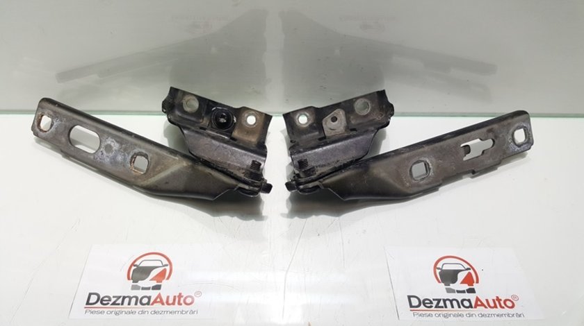 Set balamale capota fata, Audi A5 Sportback (8TA)