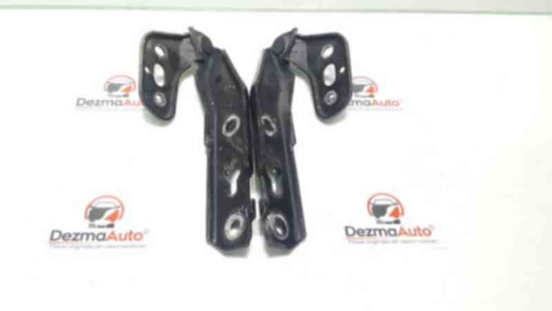 Set balamale capota fata, Audi A6 Avant (4F5, C6) (id:330600)
