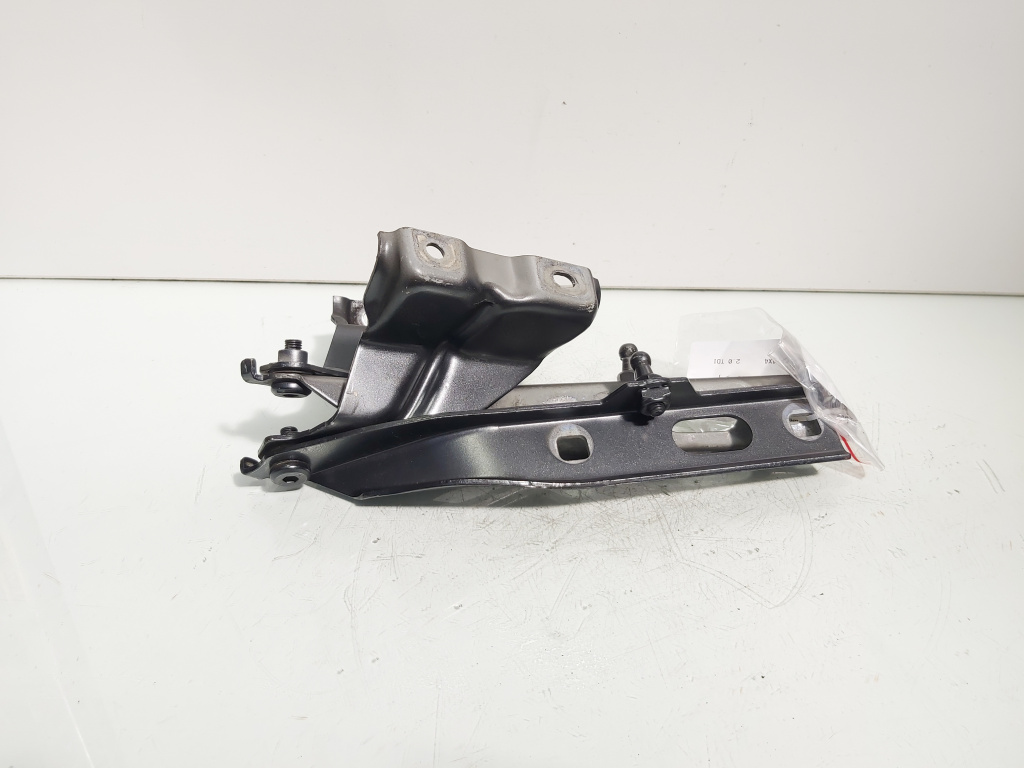 Set balamale capota fata, Audi Q5 (8RB) (id:688550)