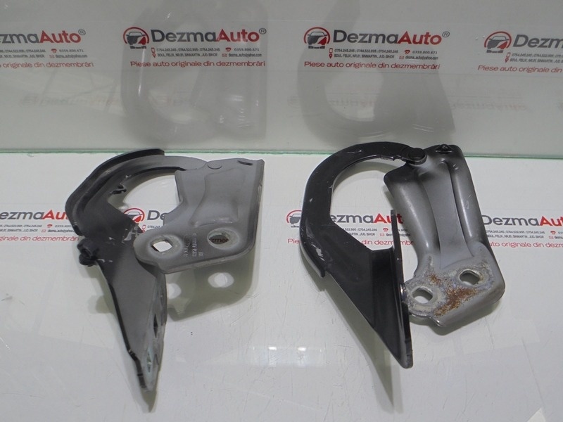 Set balamale capota fata, BM51-A16800-AD, Ford Focus 3 (id:298528)