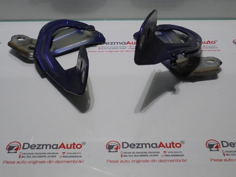 Set balamale capota fata, BM51-A16800-AD, Ford Focus 3 (id:285677)