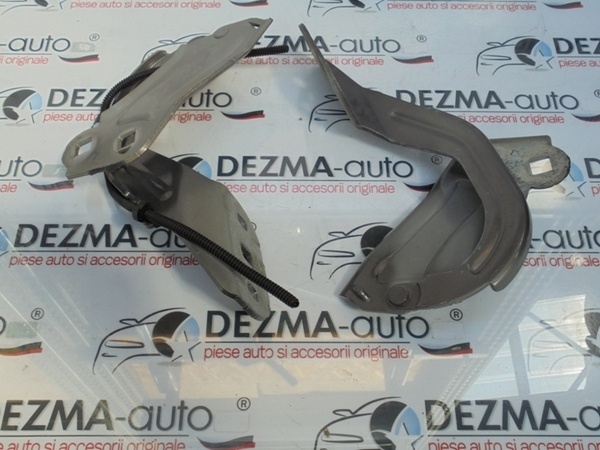 Set balamale capota fata, BM51-A16801-AA, Ford Focus 3 (id:151575)