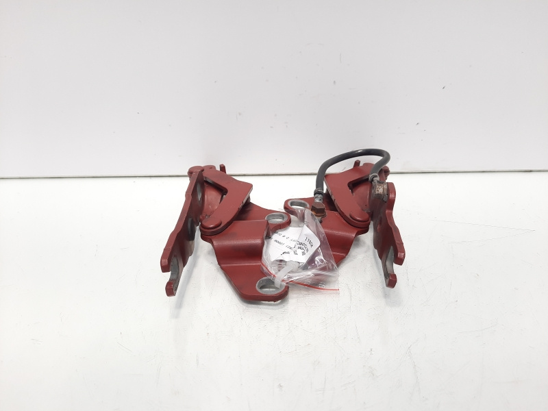 Set balamale capota fata, Bmw 1 Coupe (E