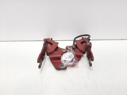 Set balamale capota fata, Bmw 1 Coupe (E82) (id:611256)