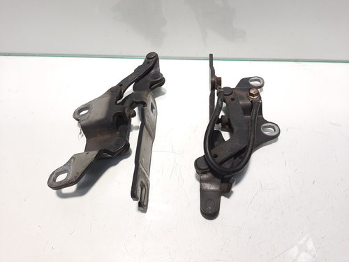 Set balamale capota fata, Bmw 3 (E90)