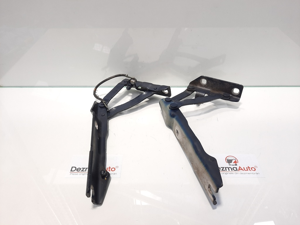 Set balamale capota fata, Bmw 5 Touring (E61) [Fabr 2004-2010] (id:432577)