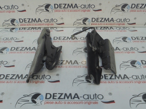 Set balamale capota fata, Bmw 5 Touring (E61)