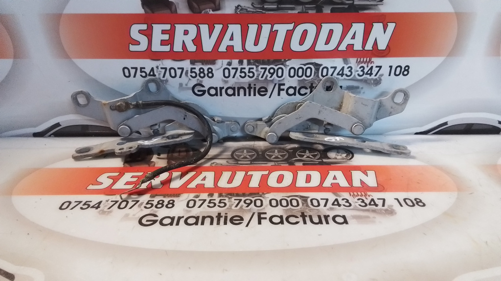 Set balamale capota fata BMW Seria 3 (2005-2012) [E90] 2.0 Motorina 2008, STANGA+DREAPTA / 7060559 / 7060560