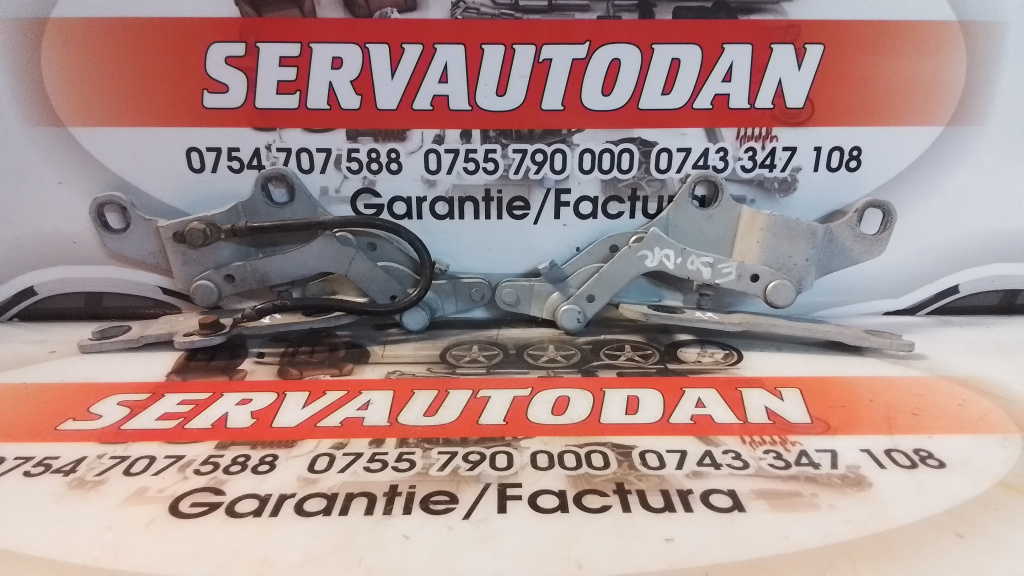 Set balamale capota fata BMW Seria 3 (2005-2012) [E90] 2.0 Motorina 2008, STANGA+DREAPTA / 7115264 / 7115263