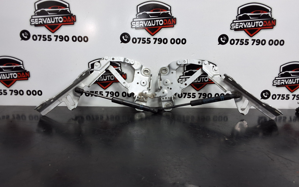 Set balamale capota fata BMW Seria 3 (2012-2019) [F31] 2.0 Motorina 2018, CU TELESCOAPE / 7336700 / 7239233 / 7336699